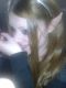 faeriefre